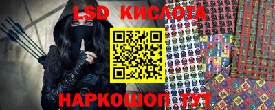 индика Сланцы