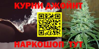 индика Сланцы