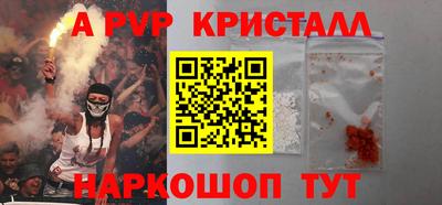 индика Сланцы