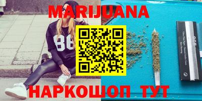 индика Сланцы
