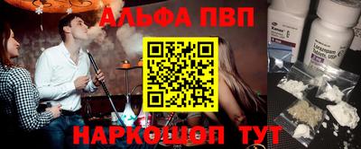 индика Сланцы