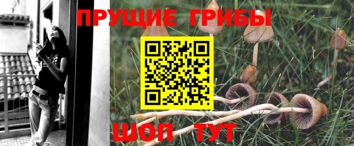 Псилоцибиновые грибы мухоморы Тихорецк